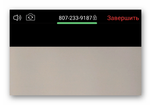 Grafa s identifikatorom v okne konferentsii v mobilnom prilozhenii Zoom Grafa s identifikatorom v okne konferentsii v mobilnom prilozhenii Zoom